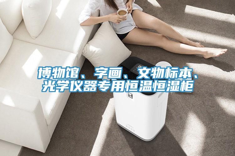 博物館、字畫、文物標本、光學儀器專用恒溫恒濕柜