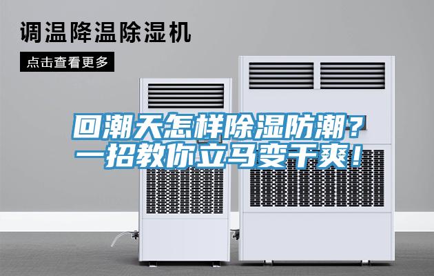 回潮天怎樣除濕防潮？一招教你立馬變干爽！
