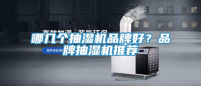 哪幾個抽濕機品牌好？品牌抽濕機推薦