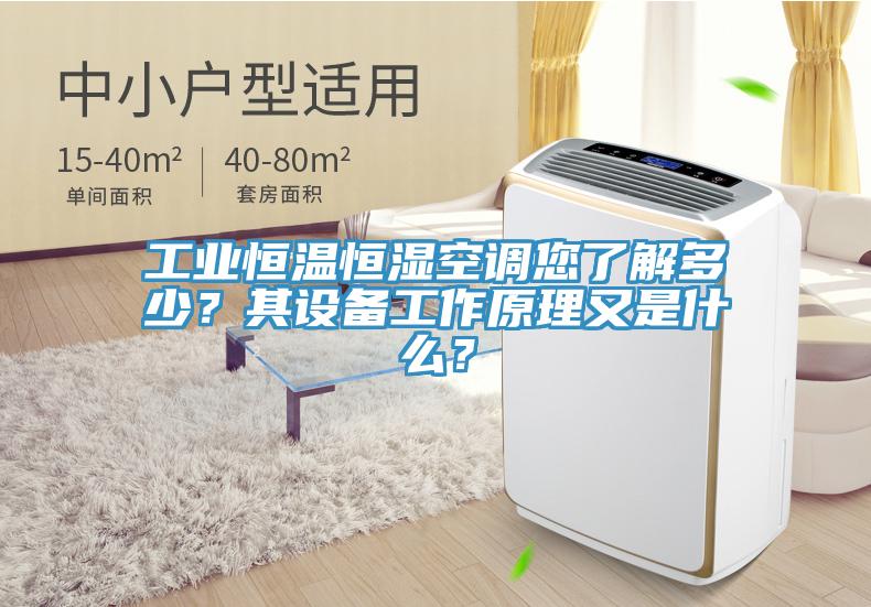 工業(yè)恒溫恒濕空調您了解多少？其設備工作原理又是什么？