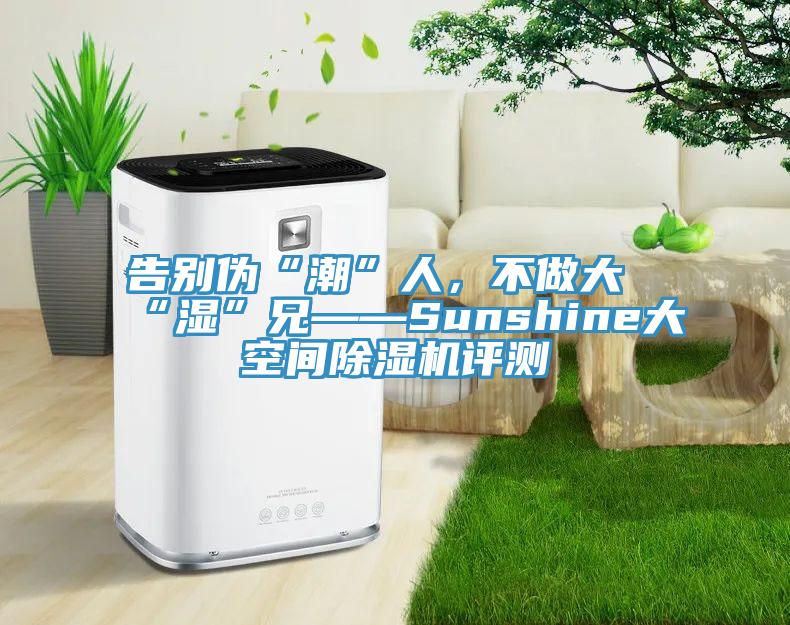 告別偽“潮”人，不做大“濕”兄——Sunshine大空間除濕機(jī)評(píng)測(cè)