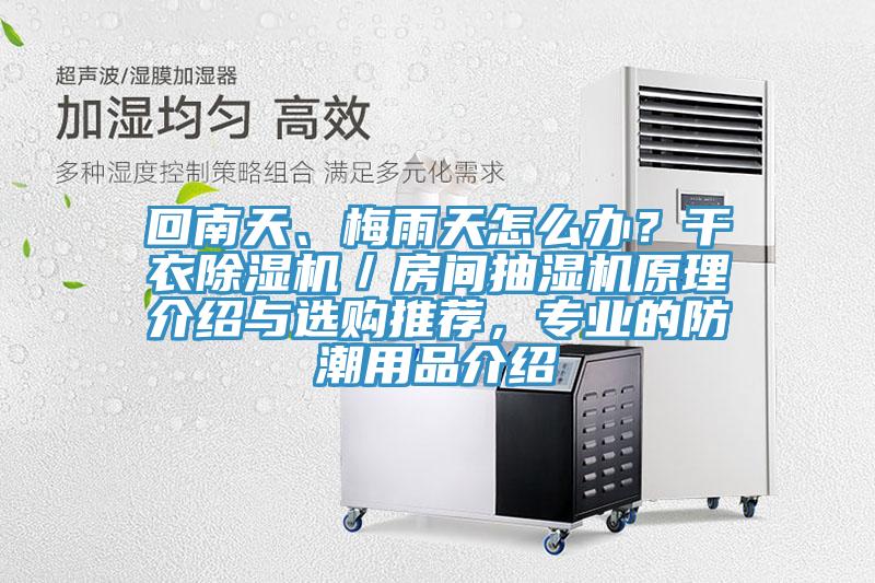 回南天、梅雨天怎么辦？干衣除濕機(jī)／房間抽濕機(jī)原理介紹與選購?fù)扑]，專業(yè)的防潮用品介紹