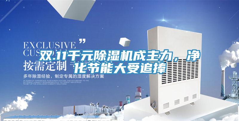 雙.11千元除濕機(jī)成主力，凈化節(jié)能大受追捧