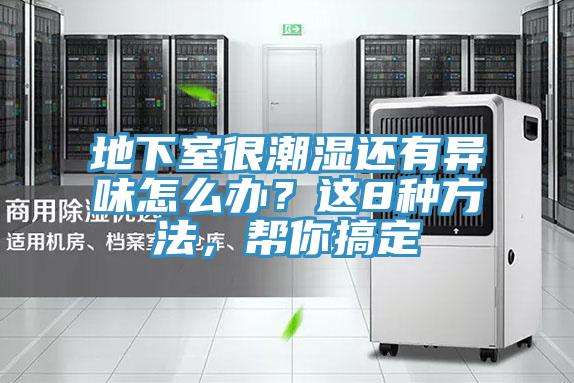 地下室很潮濕還有異味怎么辦？這8種方法，幫你搞定