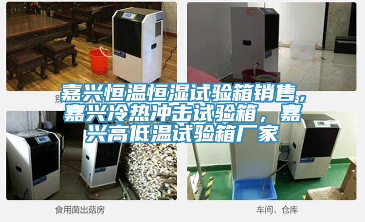 嘉興恒溫恒濕試驗箱銷售，嘉興冷熱沖擊試驗箱，嘉興高低溫試驗箱廠家