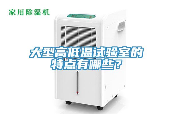 大型高低溫試驗室的特點有哪些？