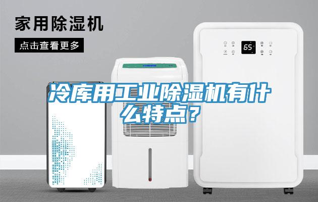冷庫用工業(yè)除濕機有什么特點？