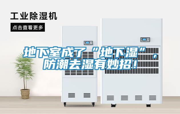 地下室成了“地下濕”，防潮去濕有妙招！