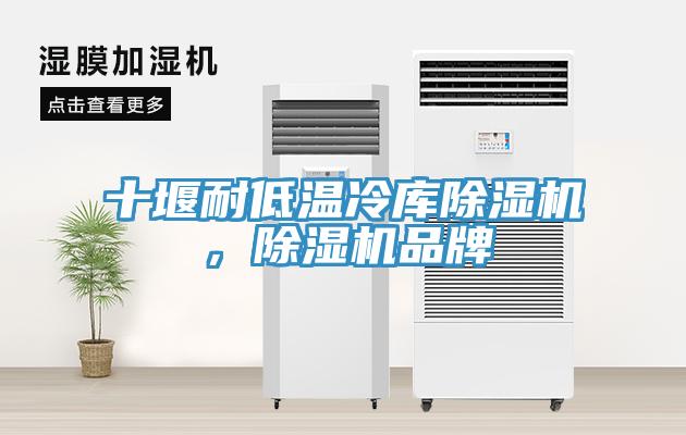 十堰耐低溫冷庫(kù)除濕機(jī)，除濕機(jī)品牌