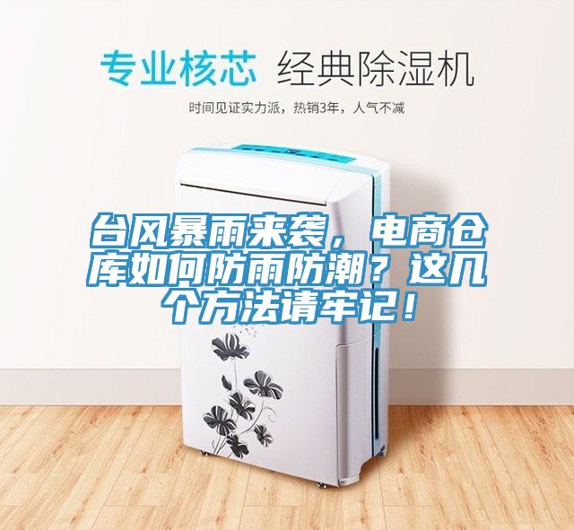 臺(tái)風(fēng)暴雨來襲，電商倉庫如何防雨防潮？這幾個(gè)方法請牢記！