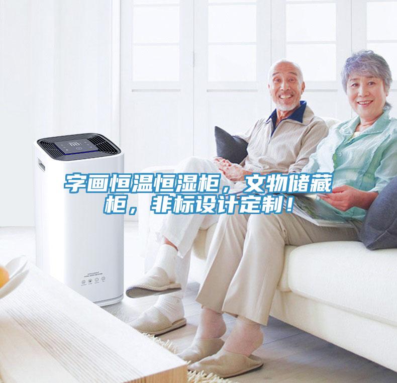 字畫恒溫恒濕柜，文物儲(chǔ)藏柜，非標(biāo)設(shè)計(jì)定制！