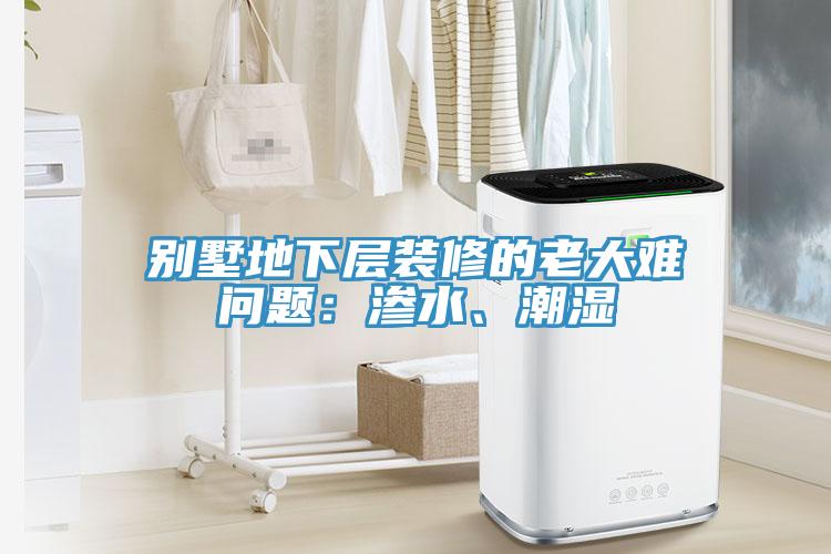 別墅地下層裝修的老大難問題：滲水、潮濕