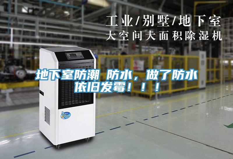 地下室防潮≠防水，做了防水依舊發(fā)霉?。?！