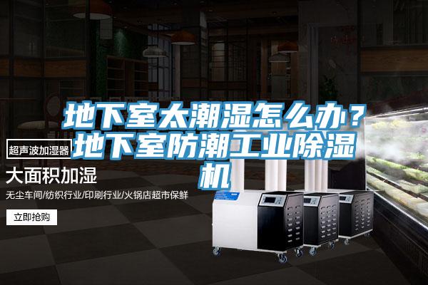 地下室太潮濕怎么辦？地下室防潮工業(yè)除濕機(jī)