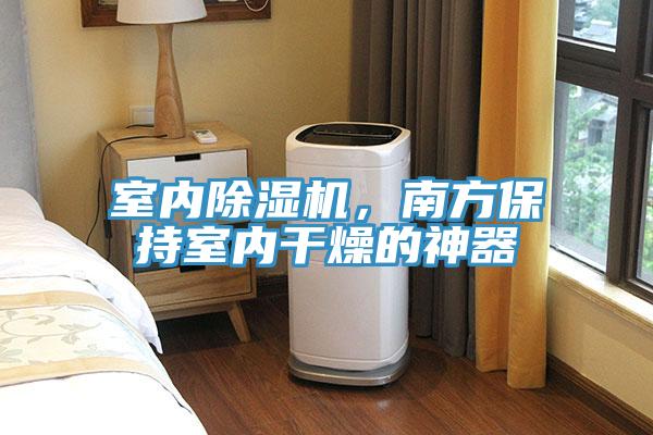 室內(nèi)除濕機，南方保持室內(nèi)干燥的神器