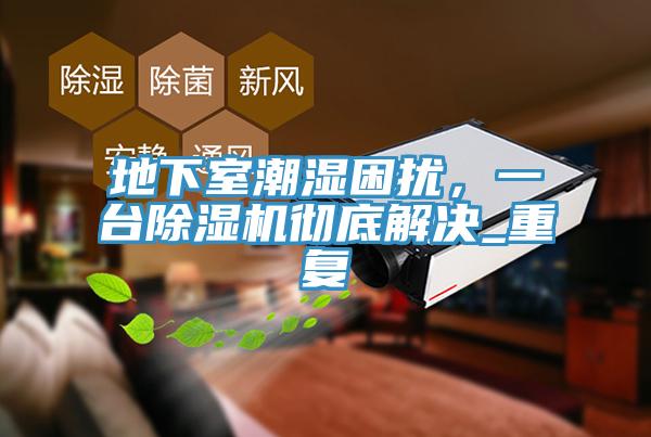 地下室潮濕困擾，一臺除濕機徹底解決_重復