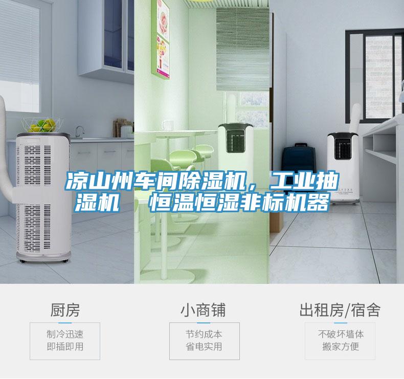 涼山州車間除濕機(jī)，工業(yè)抽濕機(jī)  恒溫恒濕非標(biāo)機(jī)器