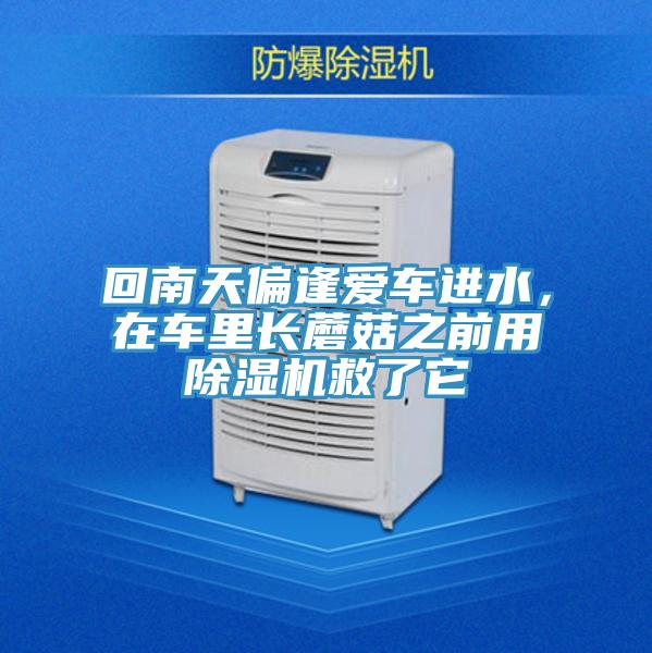 回南天偏逢愛車進(jìn)水，在車?yán)镩L蘑菇之前用除濕機(jī)救了它