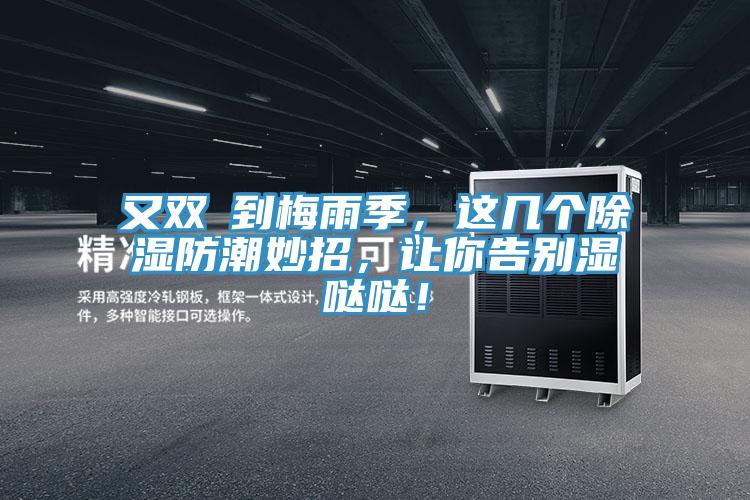又雙叒到梅雨季，這幾個除濕防潮妙招，讓你告別濕噠噠！