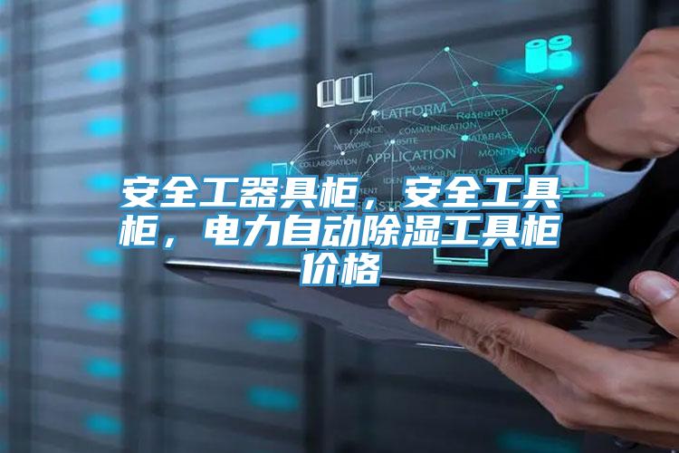 安全工器具柜，安全工具柜，電力自動(dòng)除濕工具柜價(jià)格