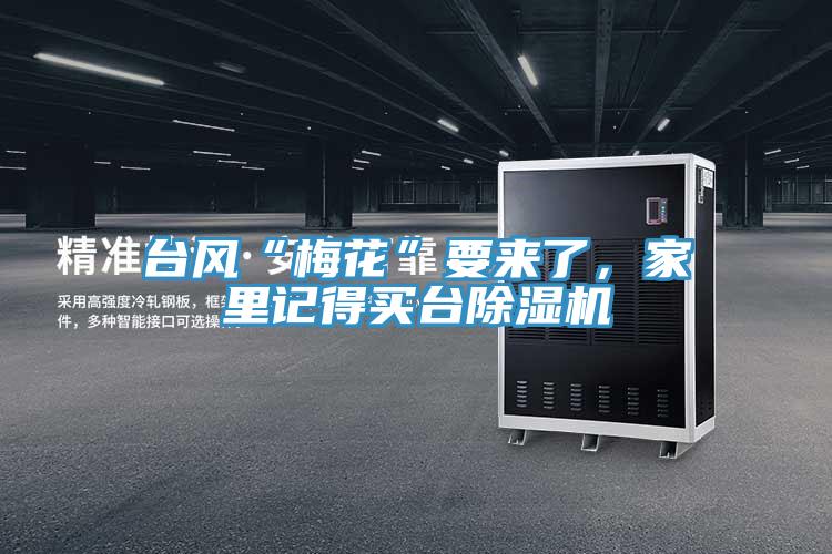 臺風(fēng)“梅花”要來了，家里記得買臺除濕機
