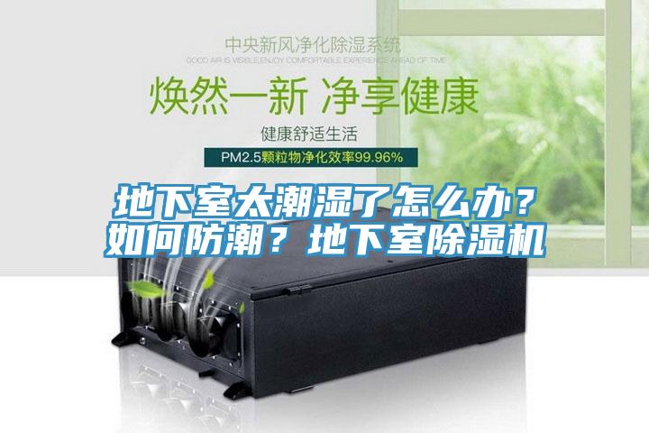 地下室太潮濕了怎么辦？如何防潮？地下室除濕機(jī)