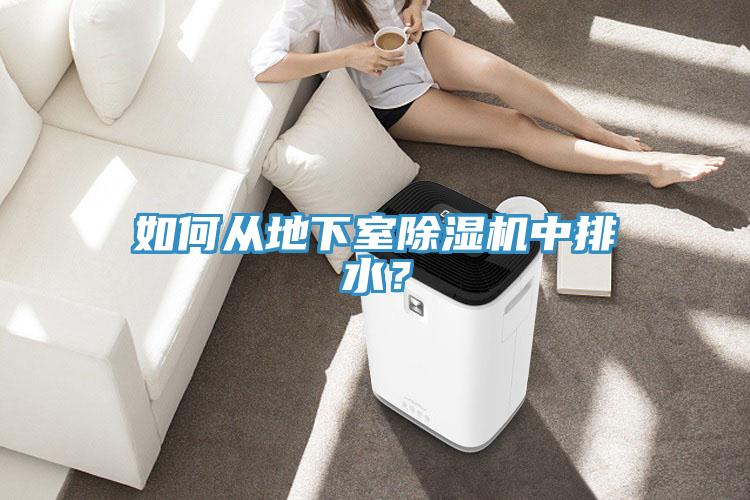 如何從地下室除濕機中排水？