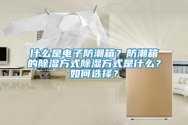 什么是電子防潮箱？防潮箱的除濕方式除濕方式是什么？如何選擇？