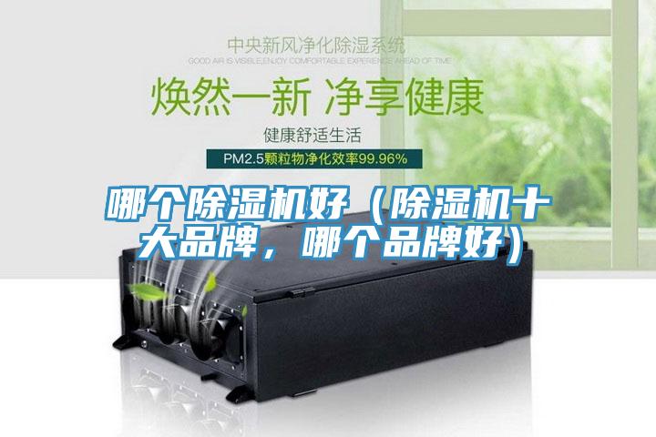 哪個除濕機好（除濕機十大品牌，哪個品牌好）