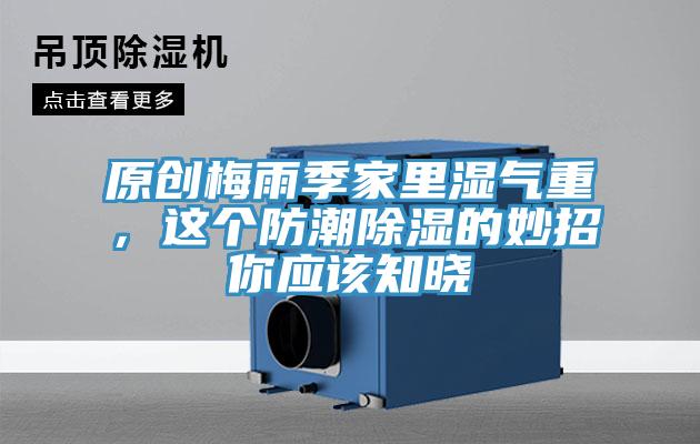 原創(chuàng)梅雨季家里濕氣重，這個防潮除濕的妙招你應(yīng)該知曉