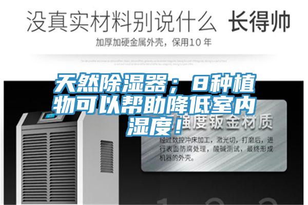 天然除濕器；8種植物可以幫助降低室內(nèi)濕度！