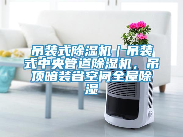吊裝式除濕機(jī)｜吊裝式中央管道除濕機(jī)，吊頂暗裝省空間全屋除濕