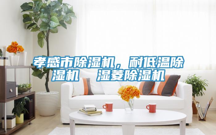 孝感市除濕機，耐低溫除濕機  濕菱除濕機