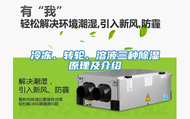 冷凍、轉(zhuǎn)輪、溶液三種除濕原理及介紹