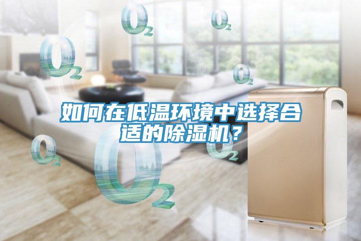 如何在低溫環(huán)境中選擇合適的除濕機？