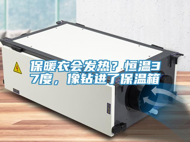 保暖衣會(huì)發(fā)熱？恒溫37度，像鉆進(jìn)了保溫箱