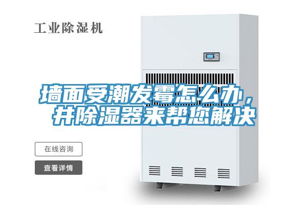 墻面受潮發(fā)霉怎么辦，東井除濕器來幫您解決