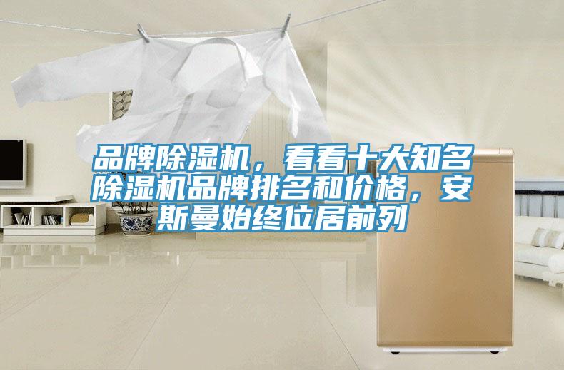 品牌除濕機(jī)，看看十大知名除濕機(jī)品牌排名和價(jià)格，安斯曼始終位居前列