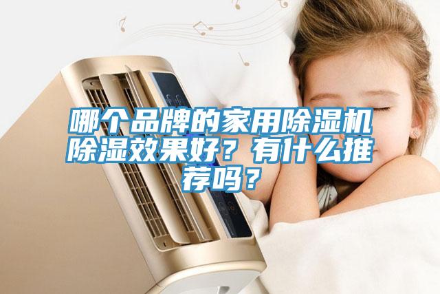 哪個品牌的家用除濕機除濕效果好？有什么推薦嗎？