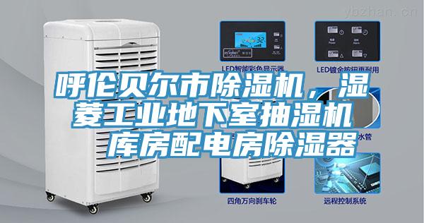 呼倫貝爾市除濕機，濕菱工業(yè)地下室抽濕機  庫房配電房除濕器