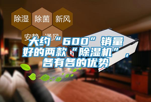 大約“600”銷量好的兩款“除濕機”，各有各的優(yōu)勢