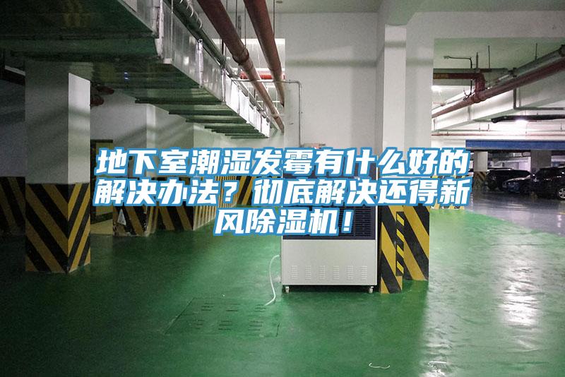 地下室潮濕發(fā)霉有什么好的解決辦法？徹底解決還得新風除濕機！