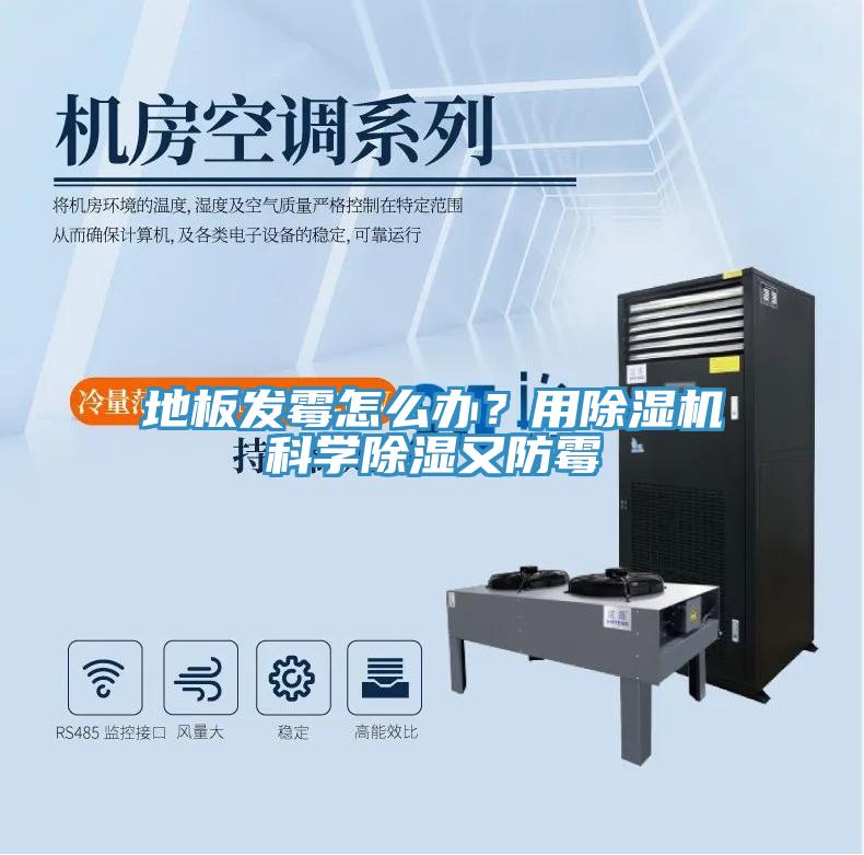 地板發(fā)霉怎么辦？用除濕機科學(xué)除濕又防霉