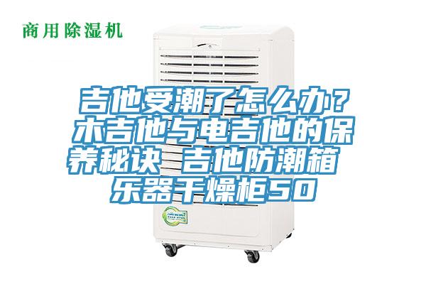 吉他受潮了怎么辦？木吉他與電吉他的保養(yǎng)秘訣 吉他防潮箱 樂器干燥柜50