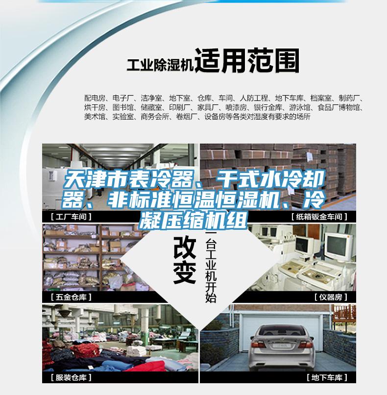 天津市表冷器、干式水冷卻器、非標(biāo)準(zhǔn)恒溫恒濕機(jī)、冷凝壓縮機(jī)組