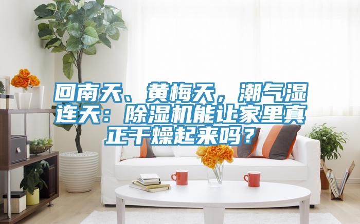 回南天、黃梅天，潮氣濕連天：除濕機(jī)能讓家里真正干燥起來嗎？