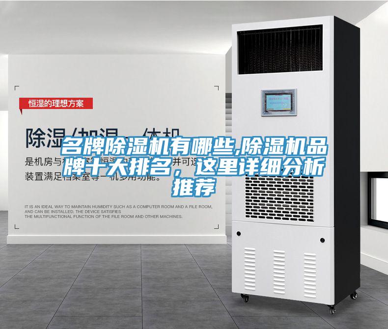 名牌除濕機(jī)有哪些,除濕機(jī)品牌十大排名，這里詳細(xì)分析推薦