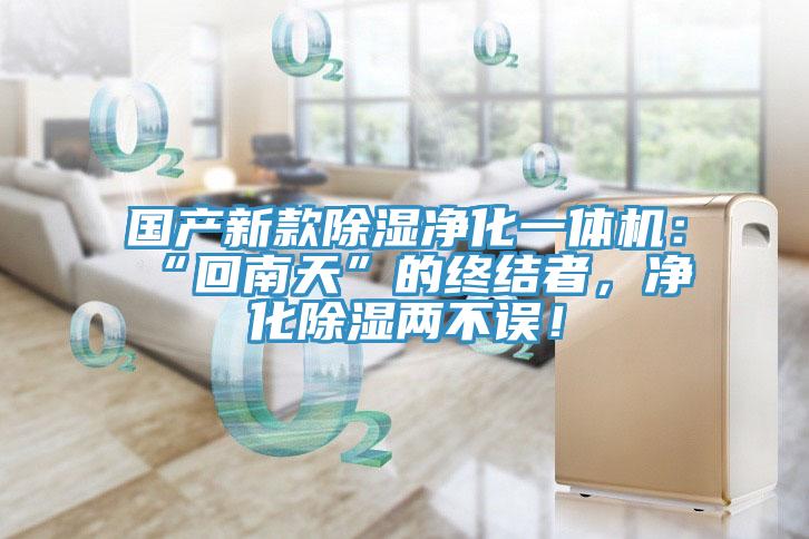 國產(chǎn)新款除濕凈化一體機(jī)：“回南天”的終結(jié)者，凈化除濕兩不誤！