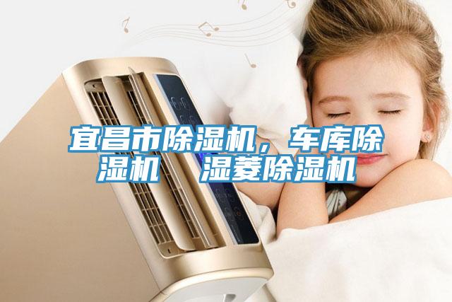 宜昌市除濕機(jī)，車庫(kù)除濕機(jī)  濕菱除濕機(jī)