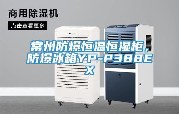 常州防爆恒溫恒濕柜，防爆冰箱YP-P388EX